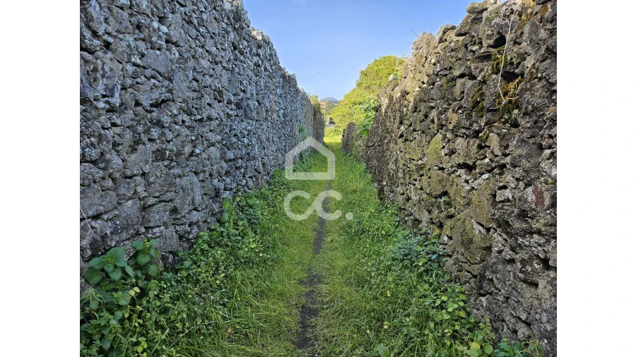 Terreno para Venda em Rosto do Cão (São Roque) Foto 7