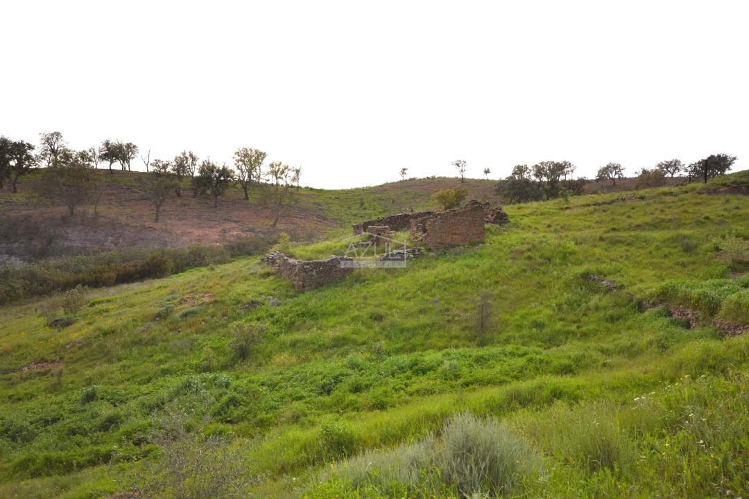 Terreno para Venda em Salir Foto 8