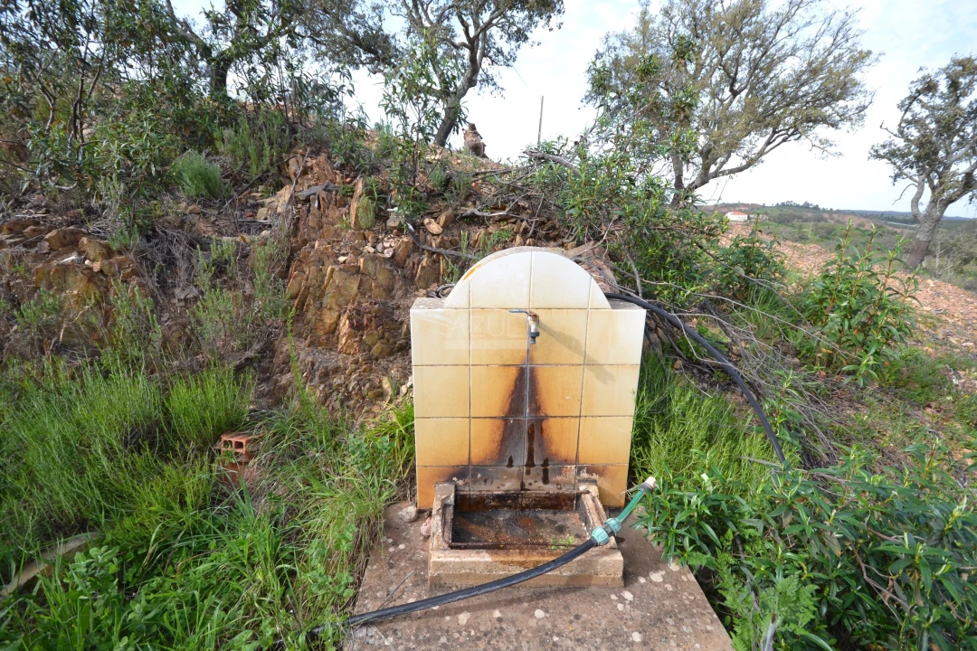 Terreno para Venda em Salir Foto 11