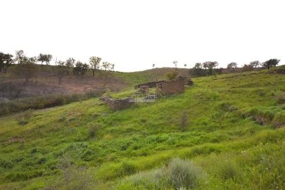 Terreno para Venda em Salir