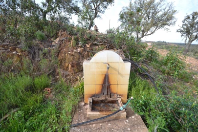 Terreno para Venda em Salir