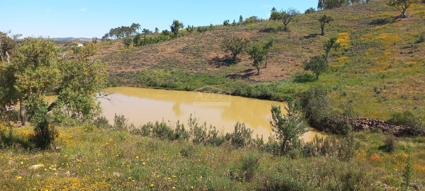 Terreno para Venda em Salir