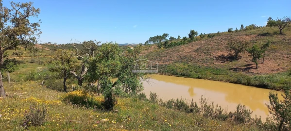 Terreno para Venda em Salir