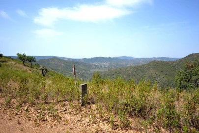 Terreno para Venda em Salir