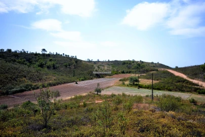 Terreno para Venda em Salir