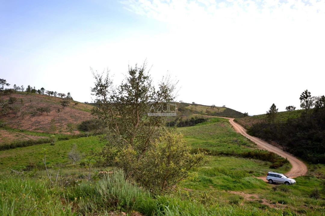 Terreno para Venda em Salir Foto 7