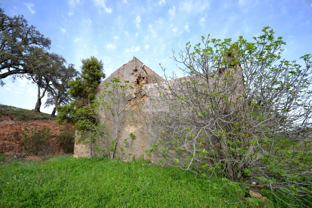 Terreno para Venda em Salir Foto 17