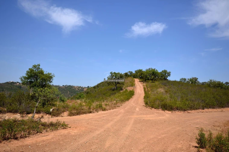 Terreno para Venda em Salir Foto 24