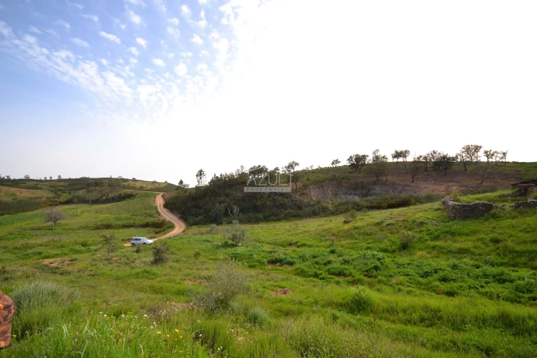 Terreno para Venda em Salir Foto 10