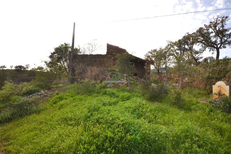 Terreno para Venda em Salir Foto 21