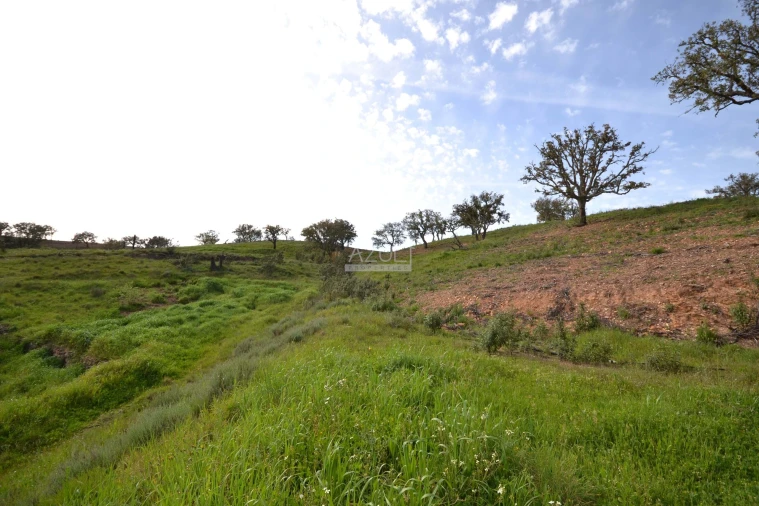 Terreno para Venda em Salir Foto 9