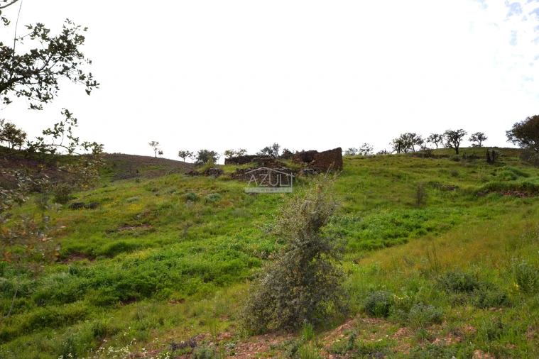 Terreno para Venda em Salir Foto 22
