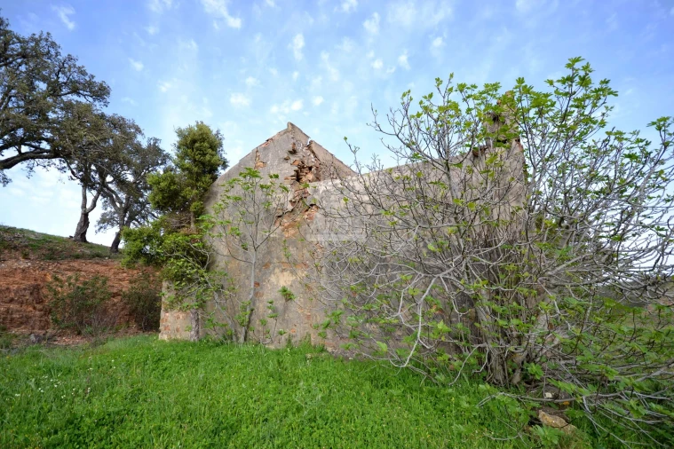 Terreno para Venda em Salir Foto 17