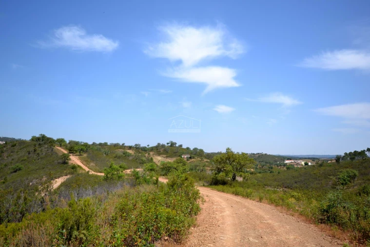 Terreno para Venda em Salir Foto 28