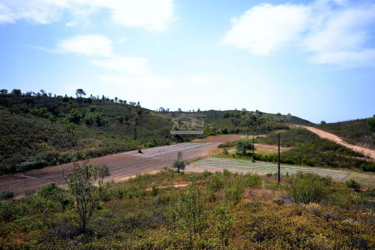 Terreno para Venda em Salir Foto 23