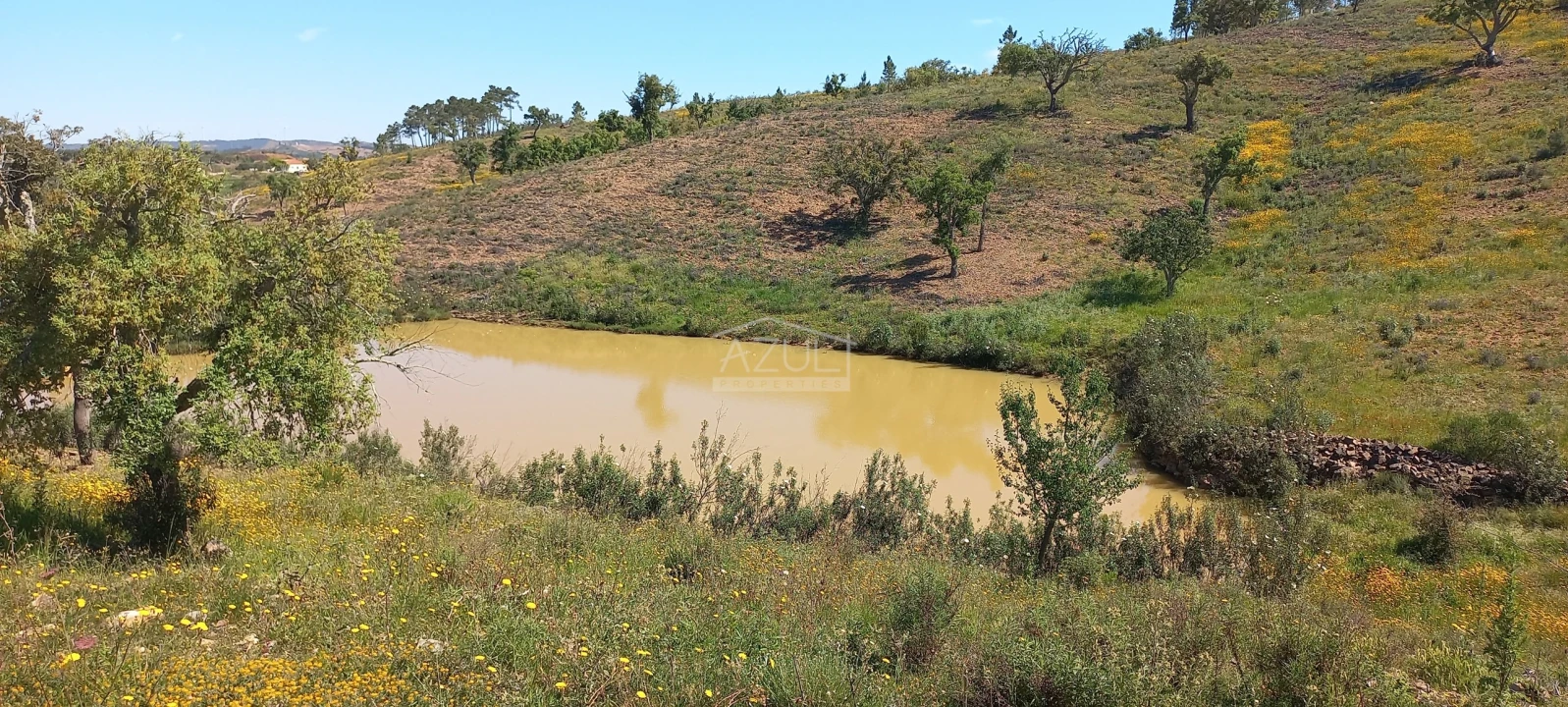 Terreno para Venda em Salir Foto 30