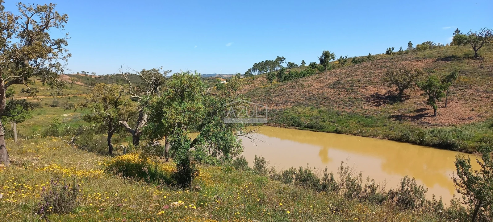Terreno para Venda em Salir Foto 5