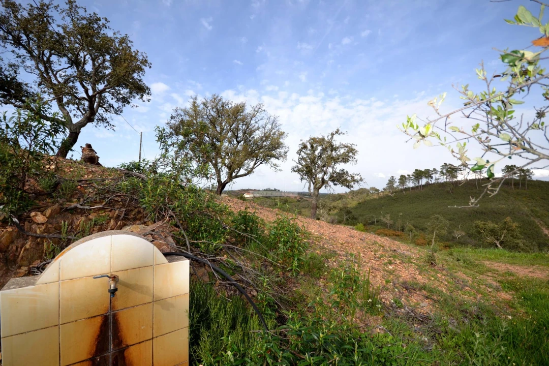 Terreno para Venda em Salir Foto 12