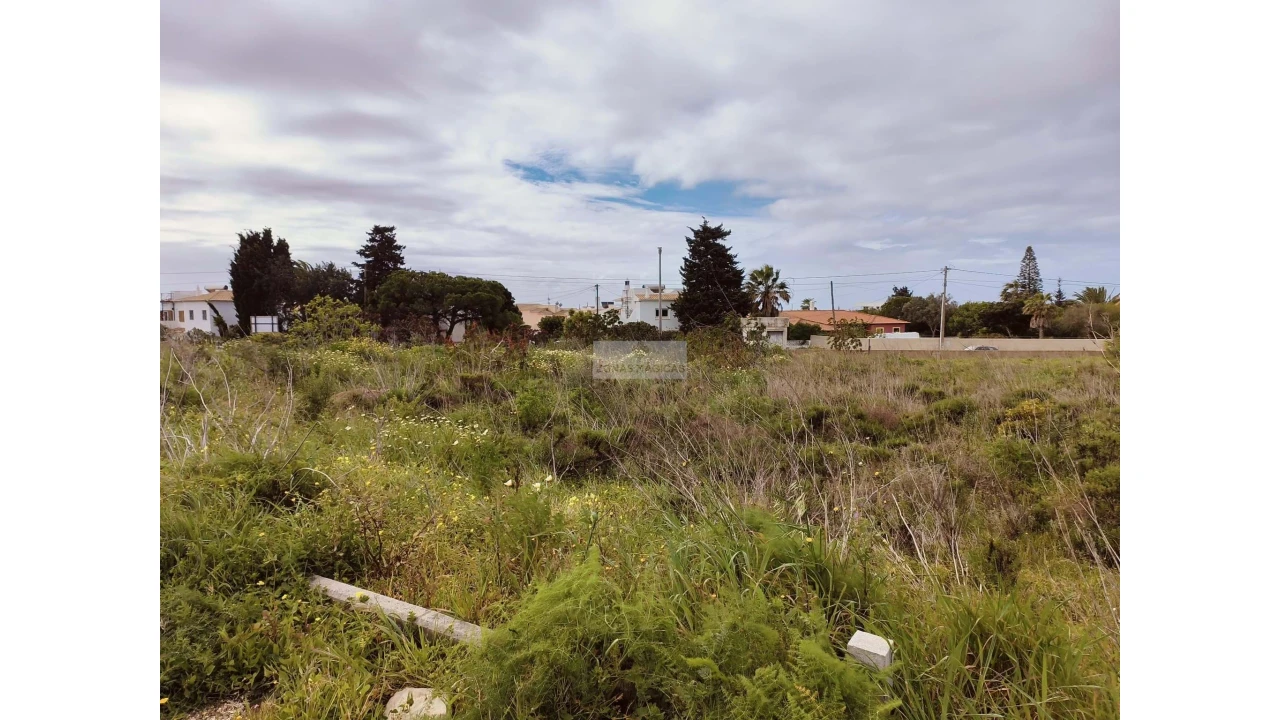 Terreno para Venda em Luz Foto 3