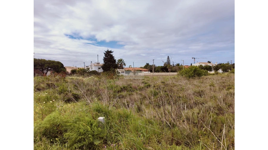 Terreno para Venda em Luz Foto 2