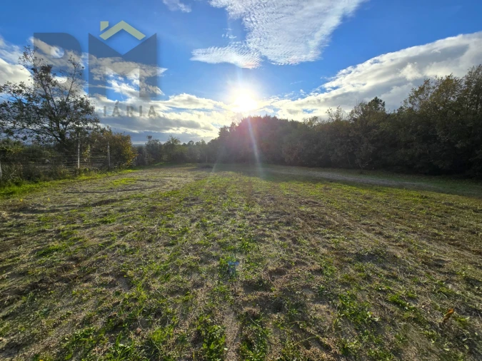 Terreno Agricola ou Rústico para Venda em Soalheira Foto 3
