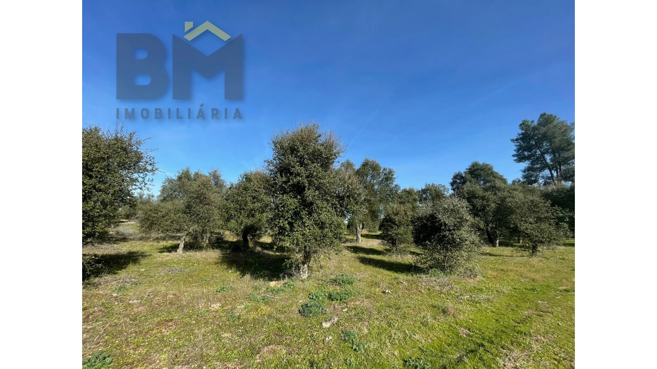 Terreno Agricola ou Rústico para Venda em Ladoeiro Foto 9