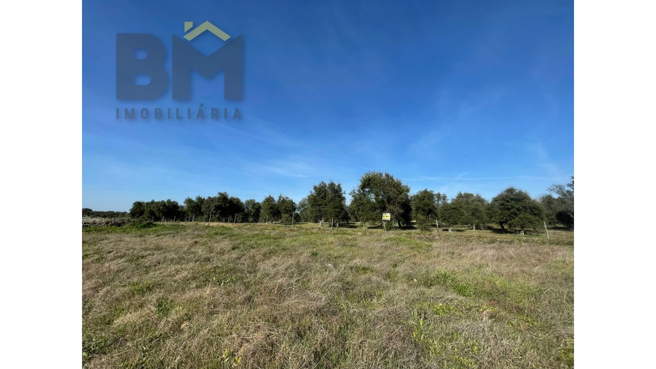 Terreno Agricola ou Rústico para Venda em Ladoeiro Foto 4