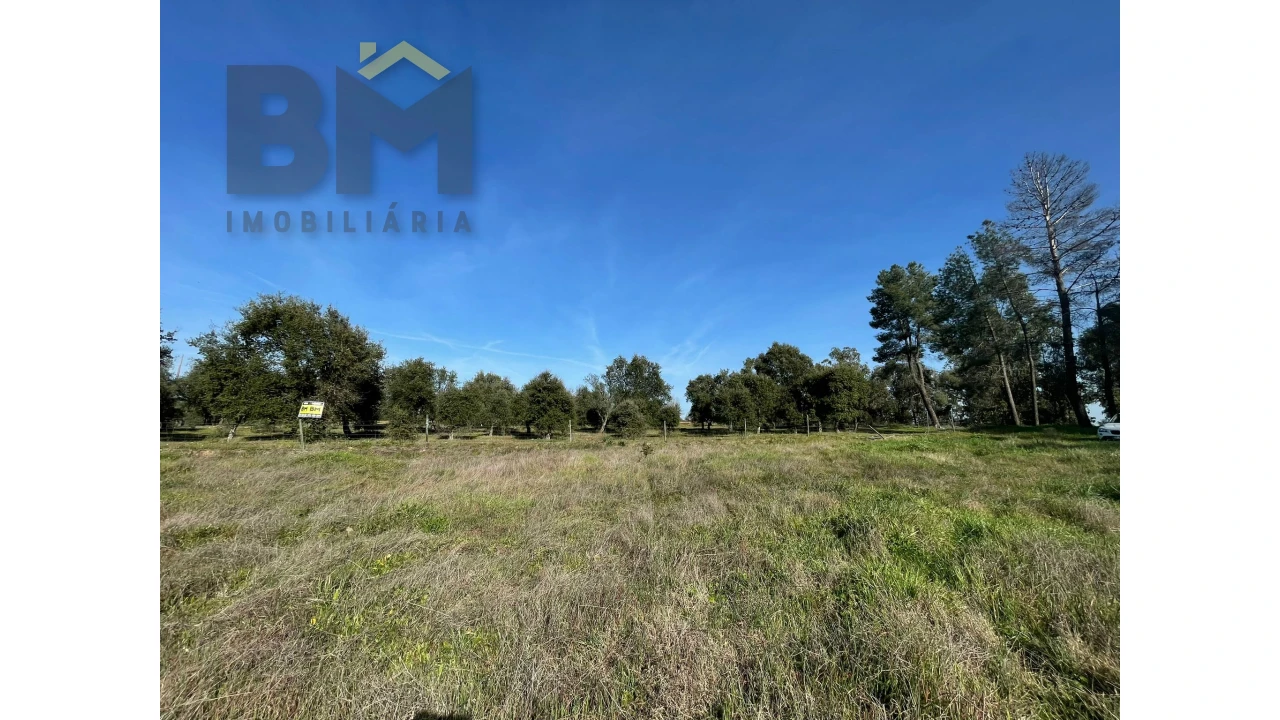Terreno Agricola ou Rústico para Venda em Ladoeiro Foto 2