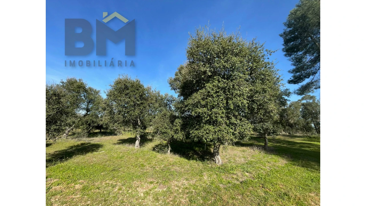 Terreno Agricola ou Rústico para Venda em Ladoeiro Foto 8
