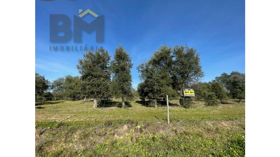 Terreno Agricola ou Rústico para Venda em Ladoeiro Foto 3