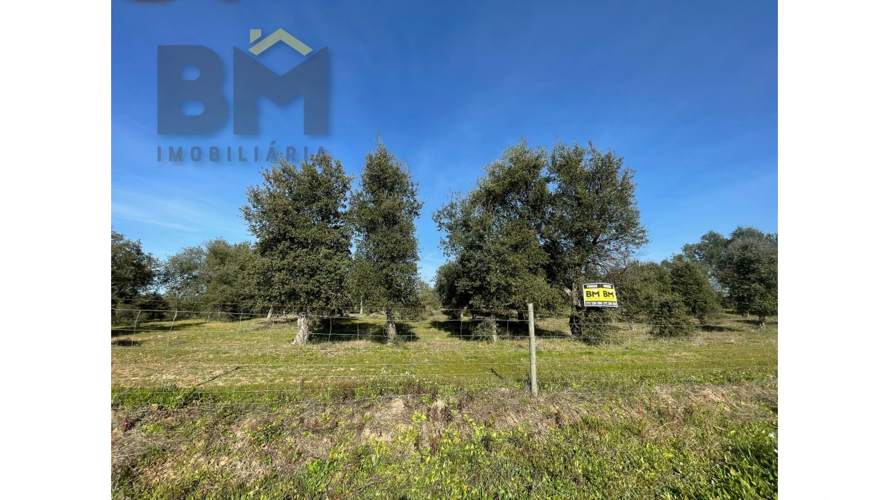 Terreno Agricola ou Rústico para Venda em Ladoeiro Foto 3