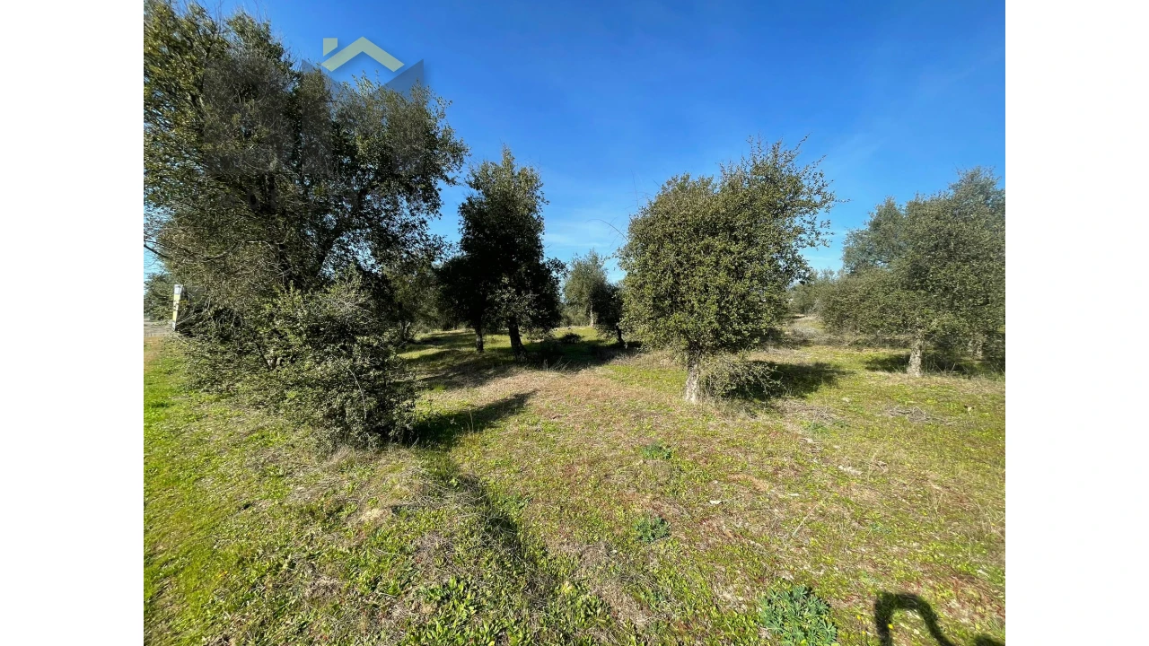 Terreno Agricola ou Rústico para Venda em Ladoeiro Foto 11