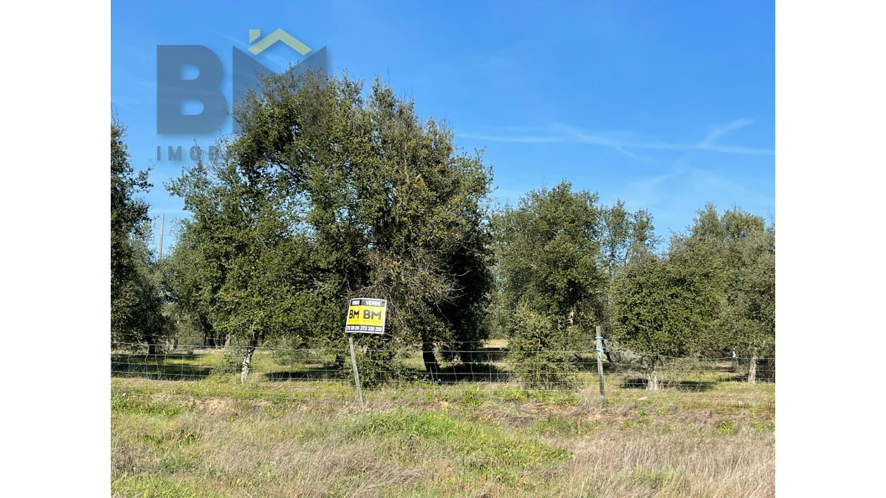 Terreno Agricola ou Rústico para Venda em Ladoeiro Foto 5