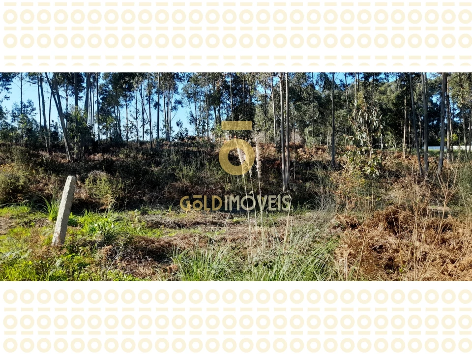 Terreno para Venda em Anta e Guetim Foto 5
