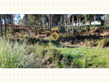 Terreno para Venda em Anta e Guetim