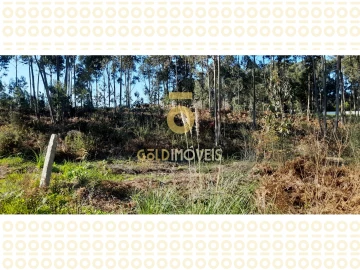 Terreno para Venda em Anta e Guetim