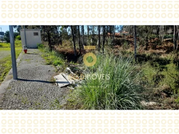 Terreno para Venda em Anta e Guetim