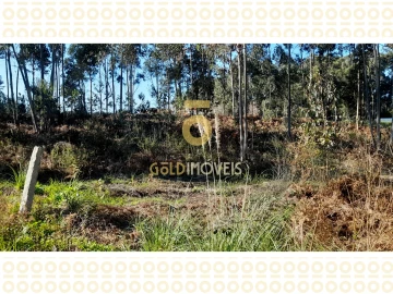 Terreno para Venda em Anta e Guetim