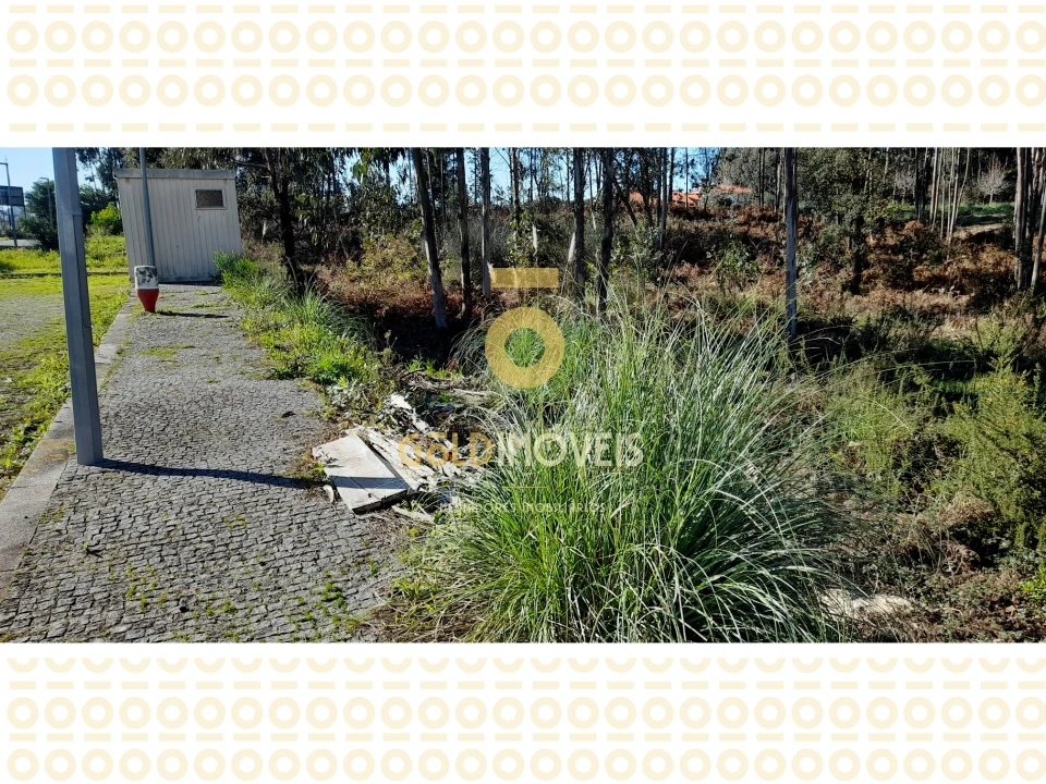 Terreno para Venda em Anta e Guetim Foto 2