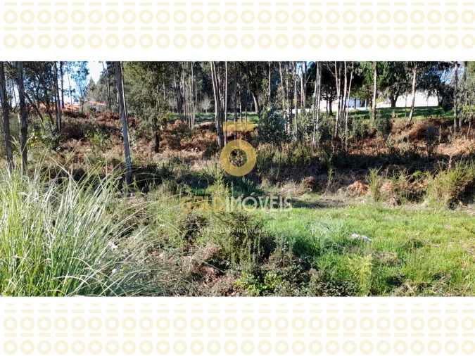 Terreno para Venda em Anta e Guetim Foto 4