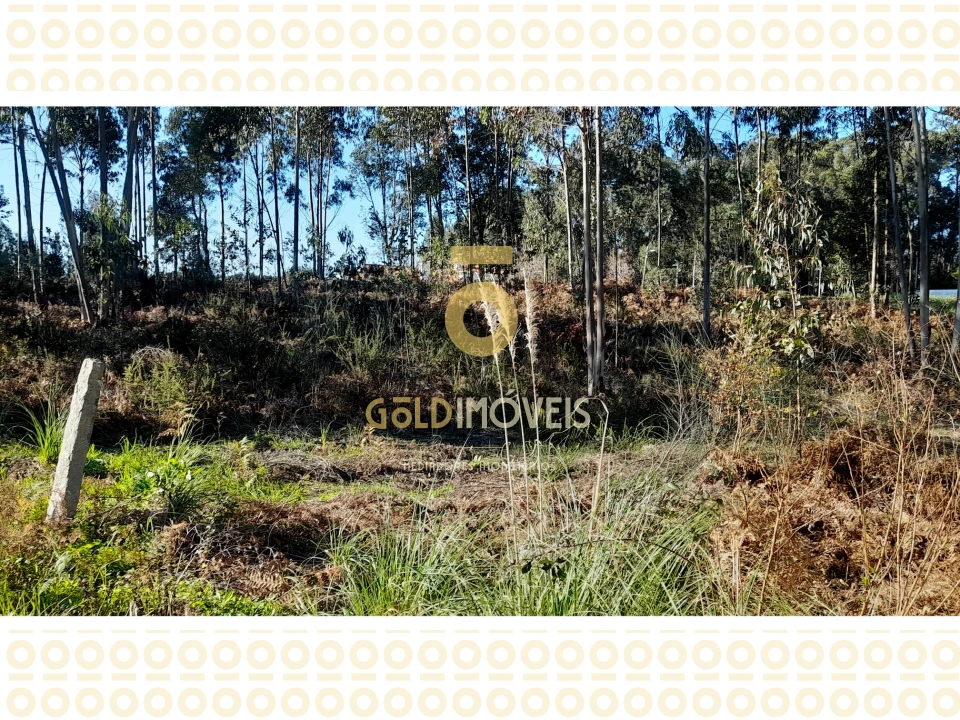 Terreno para Venda em Anta e Guetim Foto 3