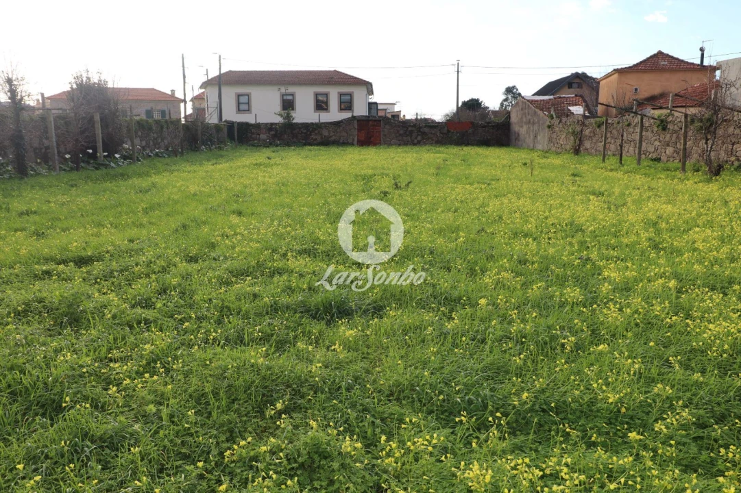 Terreno P/ Prédio para Venda em Madalena Foto 1