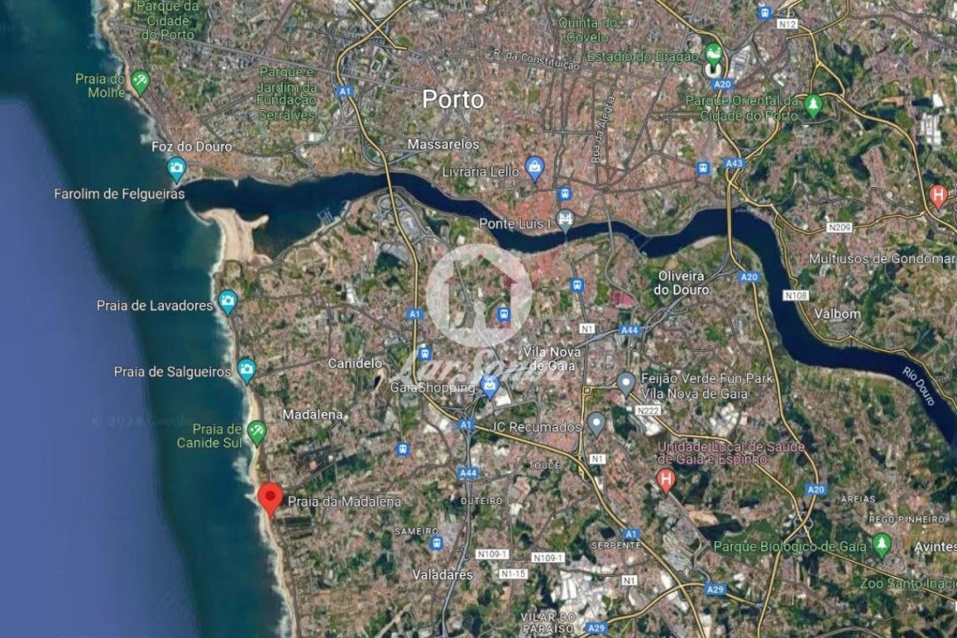 Terreno P/ Prédio para Venda em Madalena Foto 3