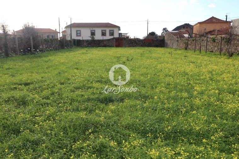 Terreno P/ Prédio para Venda em Madalena Foto 1