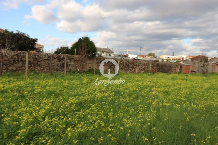 Terreno P/ Prédio para Venda em Madalena Foto 5