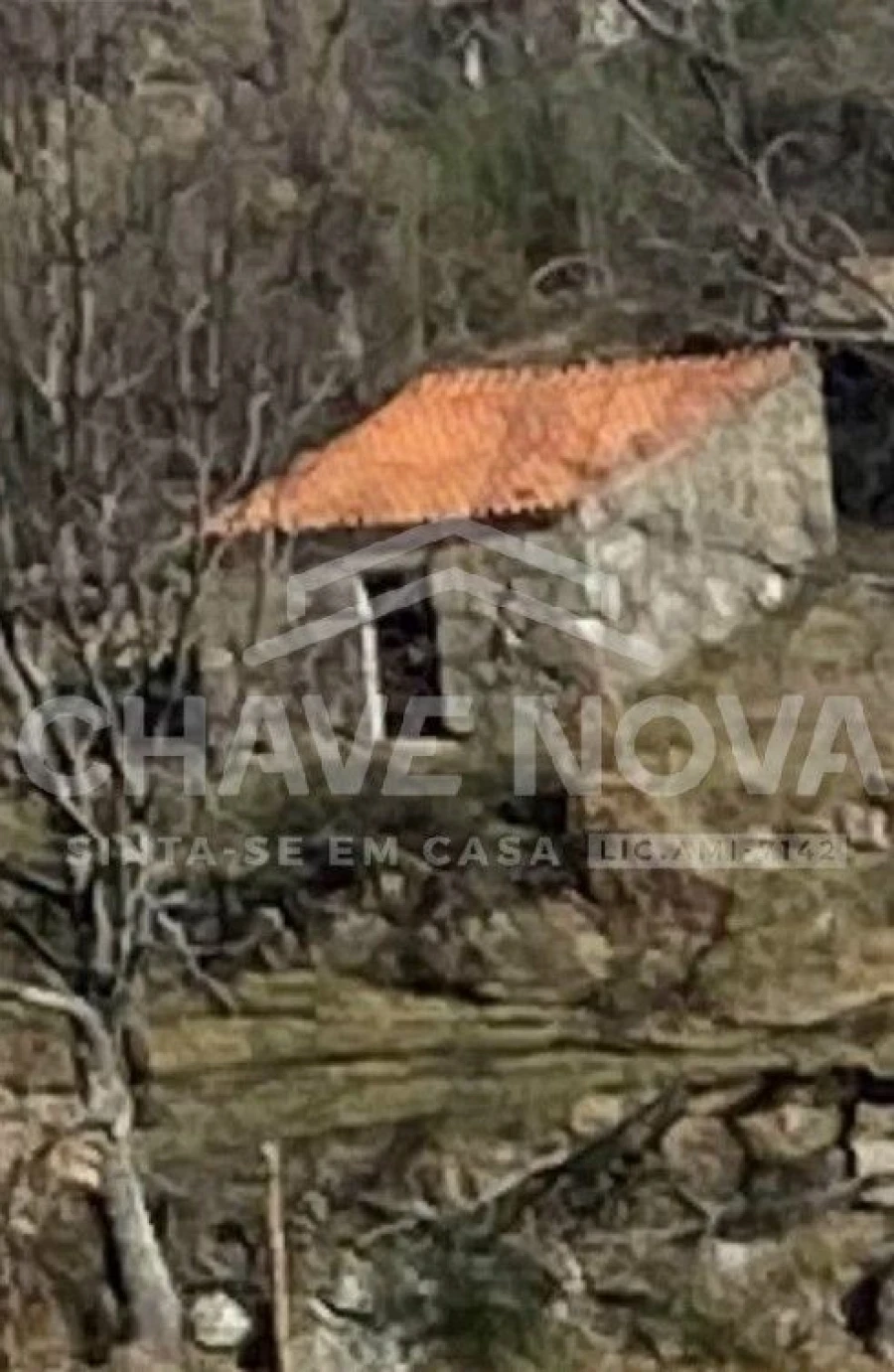 Quinta T2 para Venda em Linhares Foto 5