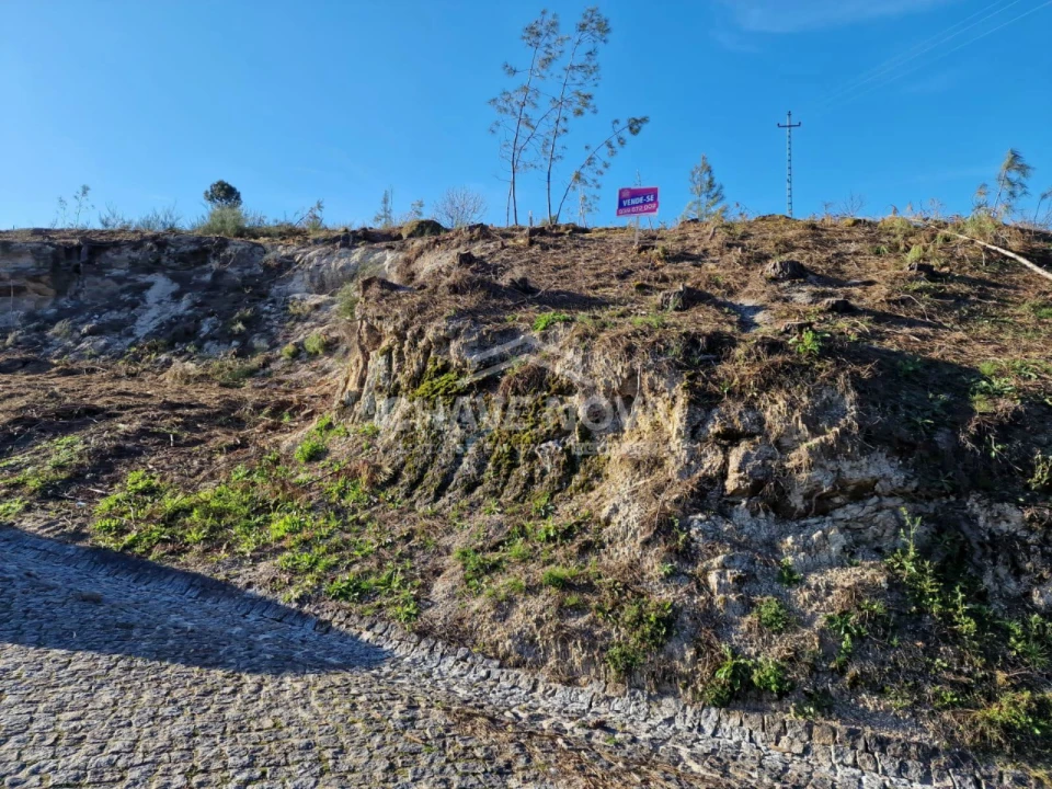 Terreno Agricola ou Rústico para Venda em Mancelos Foto 2