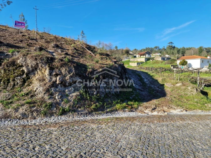 Terreno Agricola ou Rústico para Venda em Mancelos Foto 3
