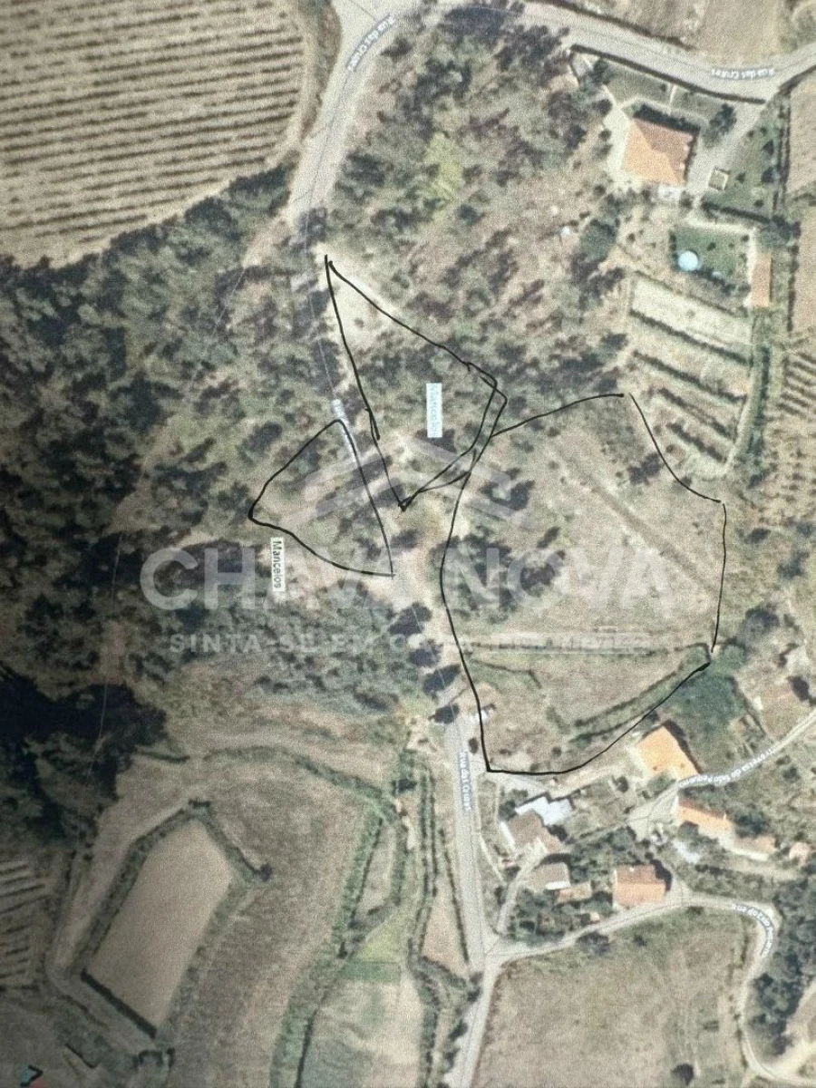 Terreno Agricola ou Rústico para Venda em Mancelos Foto 4