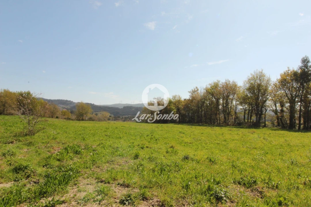 Terreno Agricola ou Rústico para Venda em Estorãos Foto 2